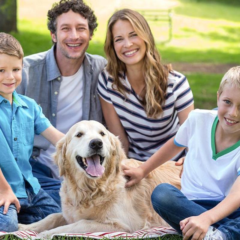 rodina (muž, žena, 2 děti) mají piknik a mezi sebou psa labradora