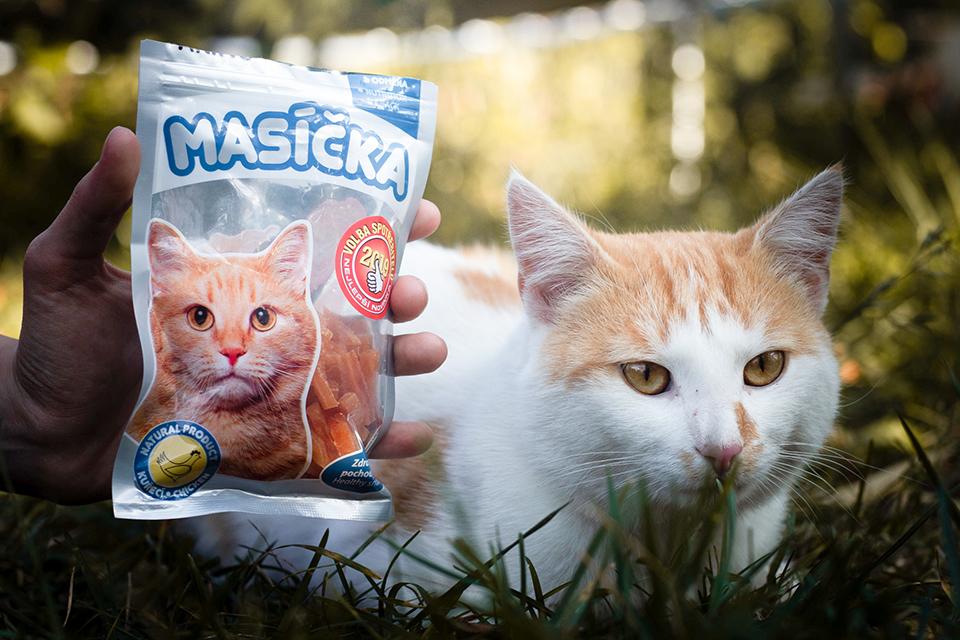 Akinu masíčka pro kočky vyhrála cenu volby spotřebitele jako nejlepší novinku r. 2019