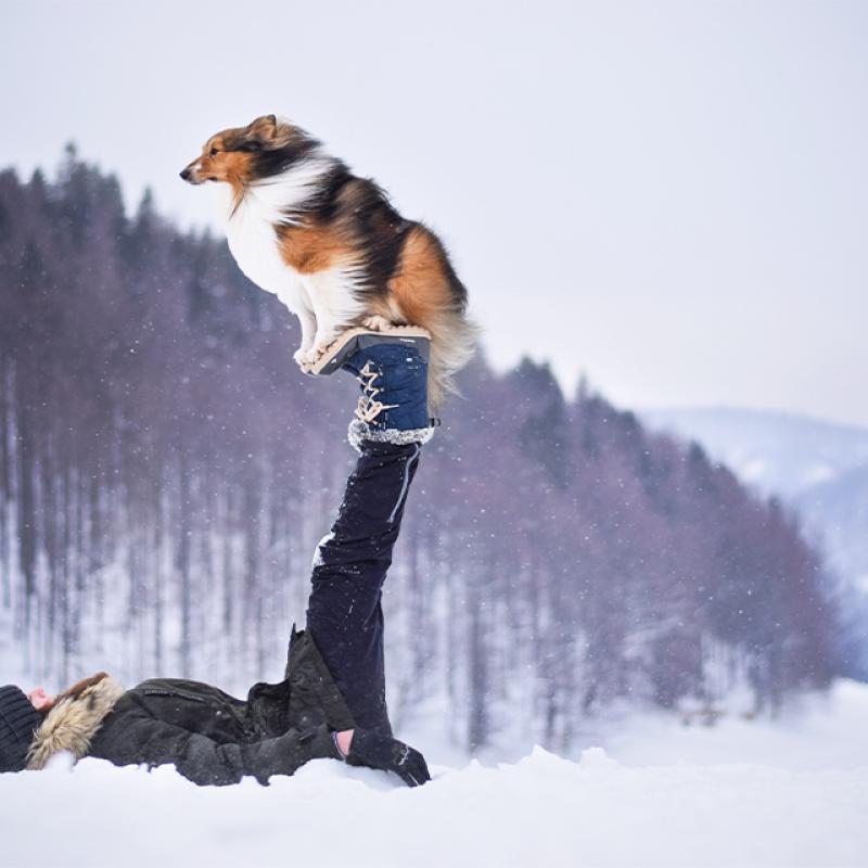 žena leží u lesa ve sněhu a má zvednuté nohy na kterých sedí pes