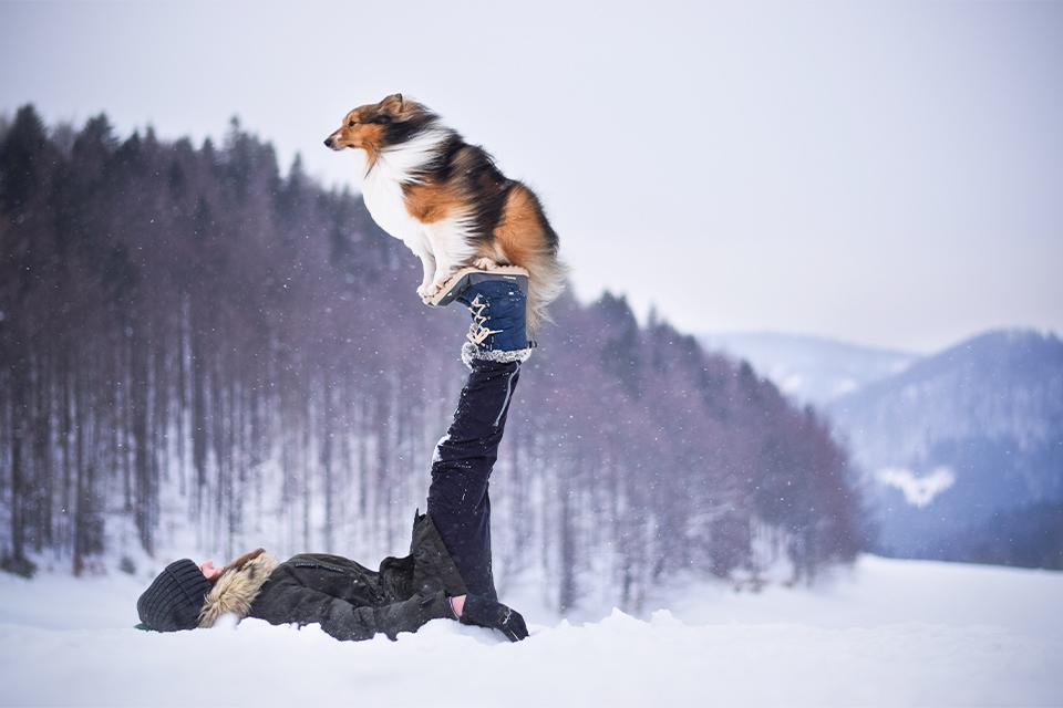 žena leží u lesa ve sněhu a má zvednuté nohy na kterých sedí pes