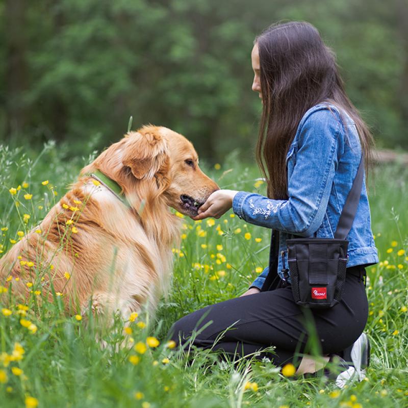 slečna na rozkvetlé louce dává psovi dobroty z pamlskovníku