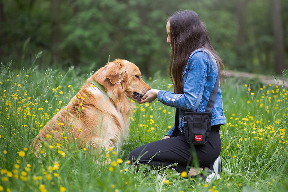 slečna na rozkvetlé louce dává psovi dobroty z pamlskovníku