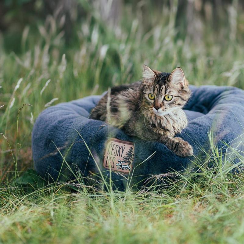 mourovatá kočka leží v plyšovém donutu