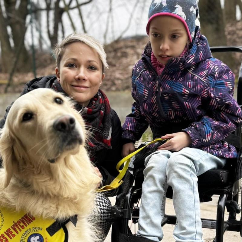 holčička na vozíčku s asistenčním psem helppes