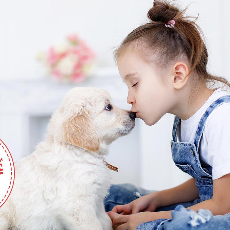 holčička dává pusu na čumáček štěňátku labradora