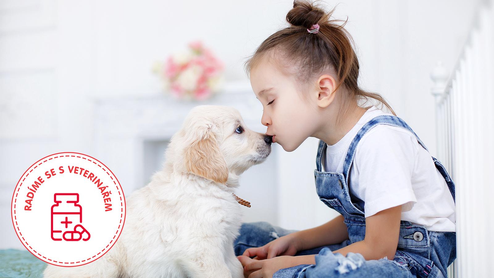 holčička dává pusu na čumáček štěňátku labradora