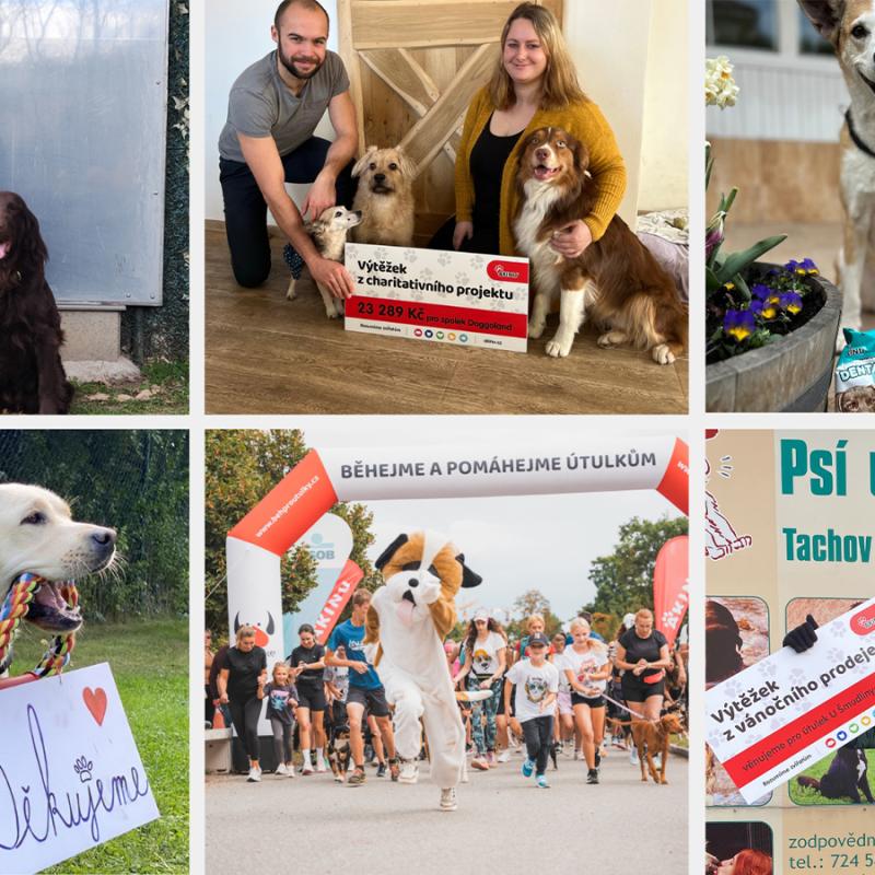 charitativní projekty, kde Akinu pomohlo