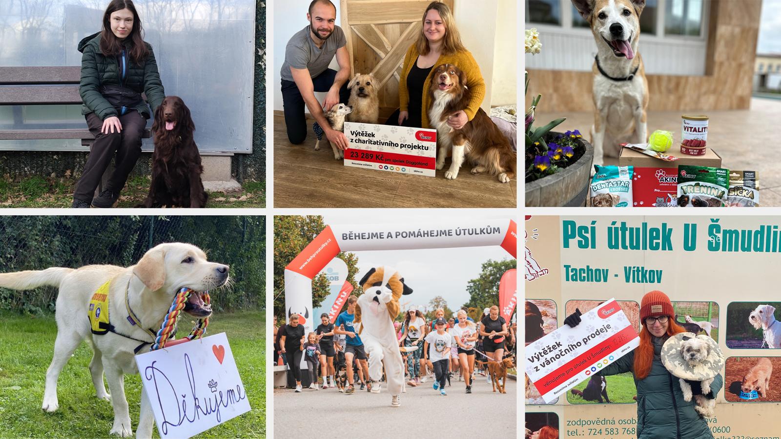 charitativní projekty, kde Akinu pomohlo