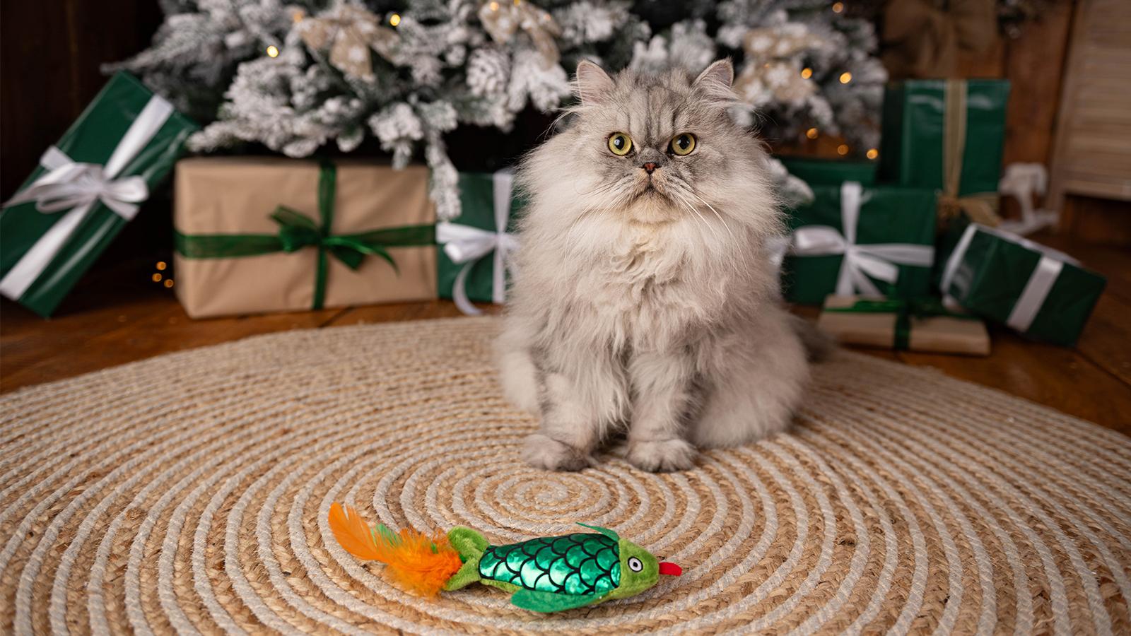 kočka sedí u stromečky s dárkem a má hračku kapra