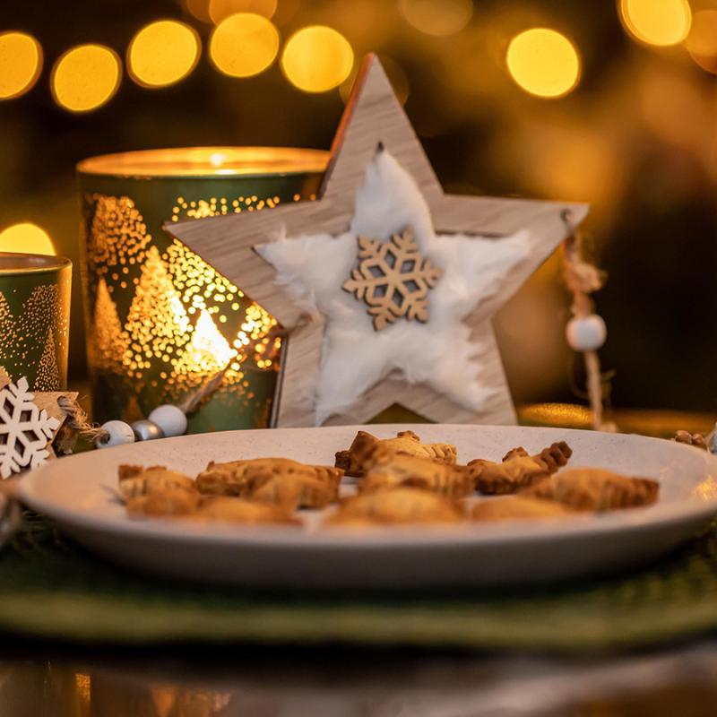 vánoční recepty pro psy a kočky 2025