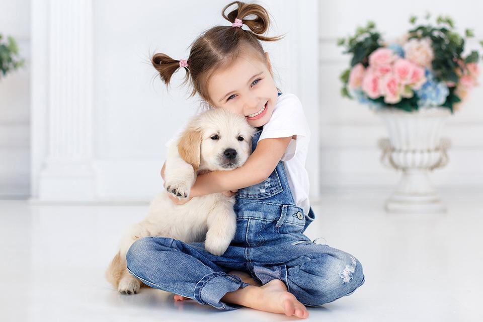 malá holčička s culíky objímá štěně zlatého retrívra